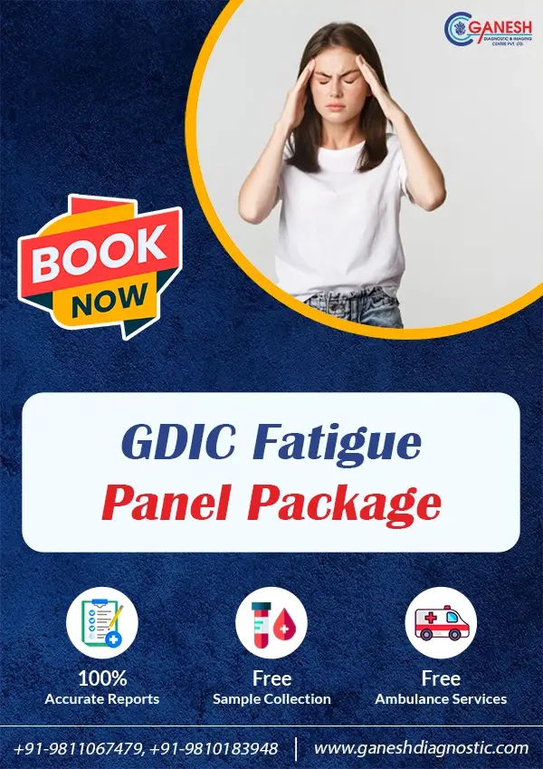 GDIC Fatigue Panel Package
